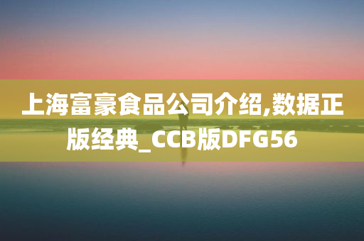 上海富豪食品公司介绍,数据正版经典_CCB版DFG56