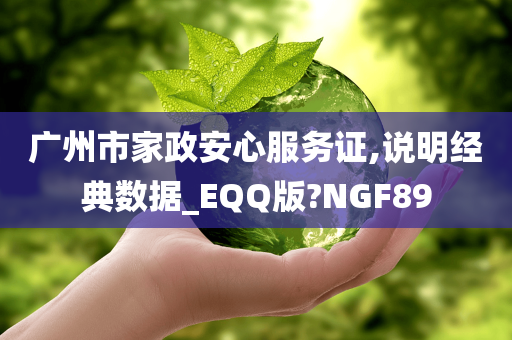 广州市家政安心服务证,说明经典数据_EQQ版?NGF89