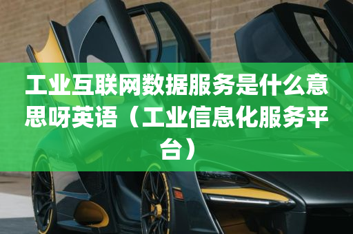 工业互联网数据服务是什么意思呀英语（工业信息化服务平台）