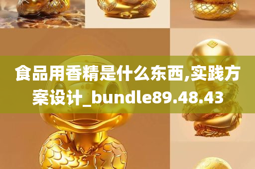 食品用香精是什么东西,实践方案设计_bundle89.48.43