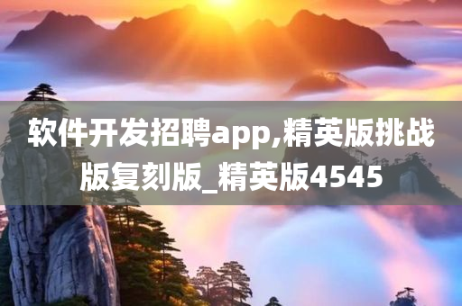 软件开发招聘app,精英版挑战版复刻版_精英版4545