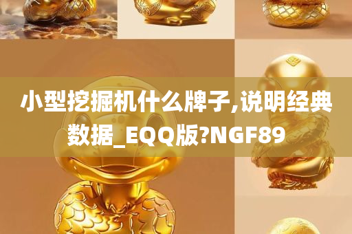 小型挖掘机什么牌子,说明经典数据_EQQ版?NGF89