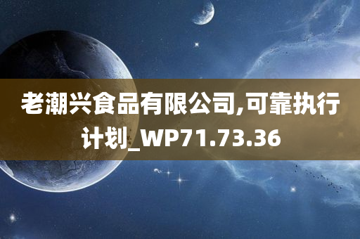 老潮兴食品有限公司,可靠执行计划_WP71.73.36