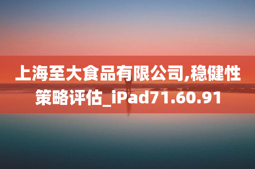 上海至大食品有限公司,稳健性策略评估_iPad71.60.91