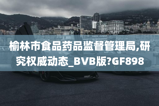 榆林市食品药品监督管理局,研究权威动态_BVB版?GF898