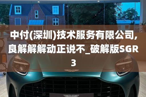 中付(深圳)技术服务有限公司,良解解解动正说不_破解版SGR3