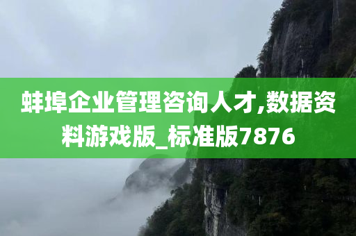 蚌埠企业管理咨询人才,数据资料游戏版_标准版7876