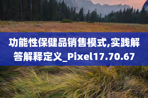 功能性保健品销售模式,实践解答解释定义_Pixel17.70.67