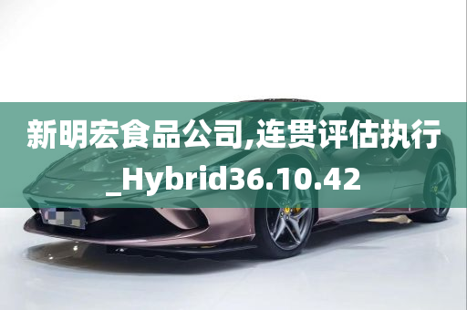 新明宏食品公司,连贯评估执行_Hybrid36.10.42