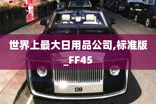 世界上最大日用品公司,标准版_FF45