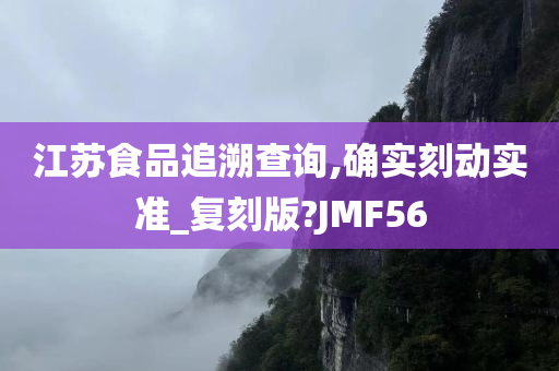 江苏食品追溯查询,确实刻动实准_复刻版?JMF56