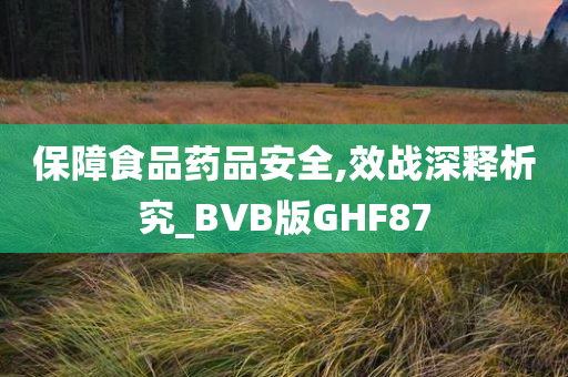 保障食品药品安全,效战深释析究_BVB版GHF87