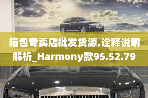 箱包专卖店批发货源,诠释说明解析_Harmony款95.52.79