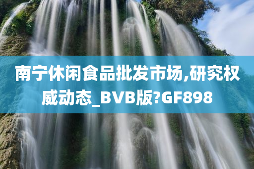 南宁休闲食品批发市场,研究权威动态_BVB版?GF898