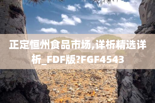 正定恒州食品市场,详析精选详析_FDF版?FGF4543