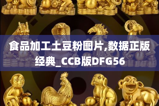 食品加工土豆粉图片,数据正版经典_CCB版DFG56