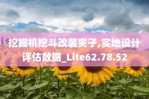 挖掘机挖斗改装夹子,实地设计评估数据_Lite62.78.52