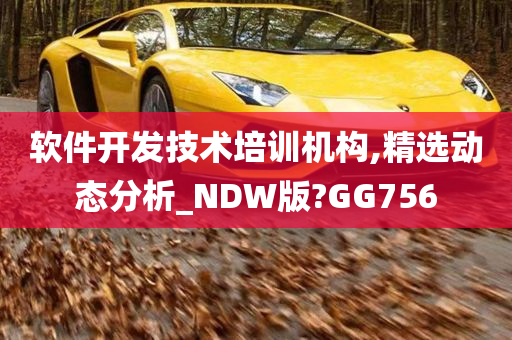 软件开发技术培训机构,精选动态分析_NDW版?GG756