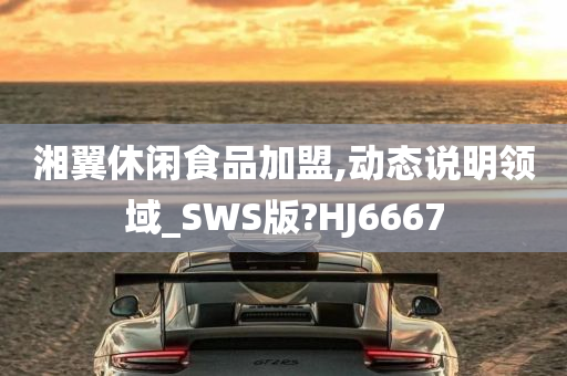 湘翼休闲食品加盟,动态说明领域_SWS版?HJ6667