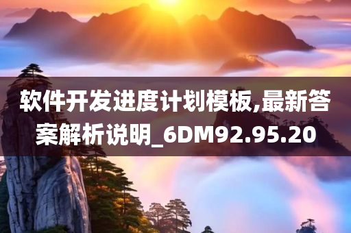 软件开发进度计划模板,最新答案解析说明_6DM92.95.20