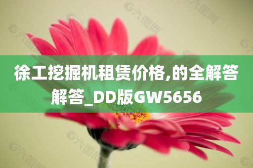 徐工挖掘机租赁价格,的全解答解答_DD版GW5656