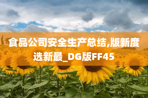 食品公司安全生产总结,版新度选新最_DG版FF45