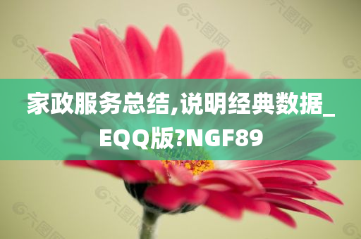 家政服务总结,说明经典数据_EQQ版?NGF89