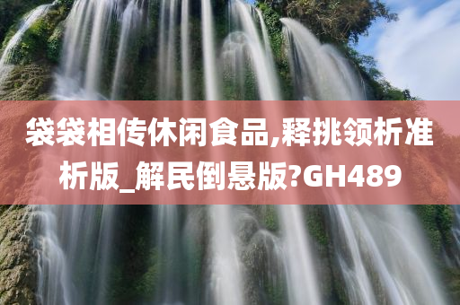 袋袋相传休闲食品,释挑领析准析版_解民倒悬版?GH489