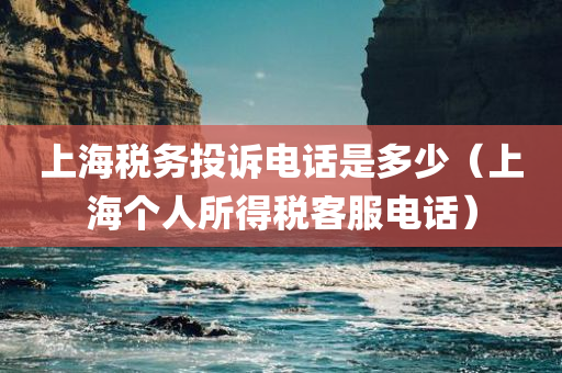 上海税务投诉电话是多少（上海个人所得税客服电话）