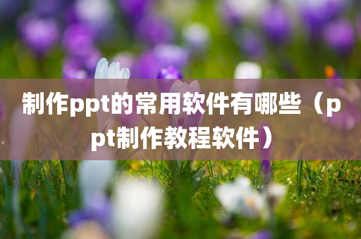 制作ppt的常用软件有哪些（ppt制作教程软件）