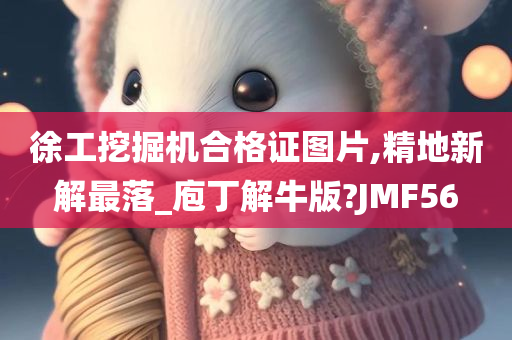 徐工挖掘机合格证图片,精地新解最落_庖丁解牛版?JMF56