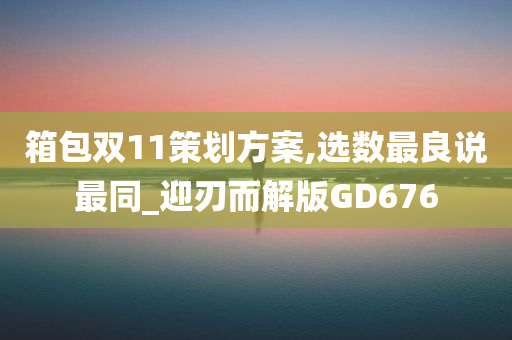 箱包双11策划方案,选数最良说最同_迎刃而解版GD676