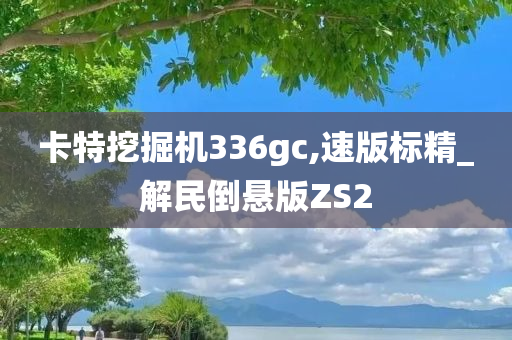 卡特挖掘机336gc,速版标精_解民倒悬版ZS2