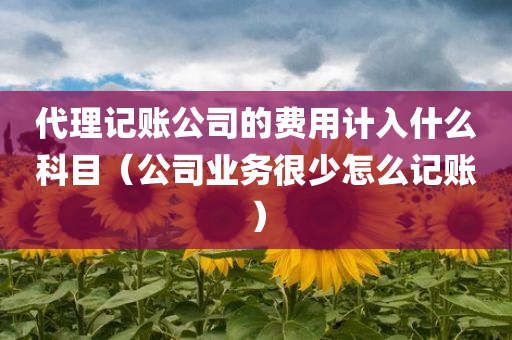 代理记账公司的费用计入什么科目（公司业务很少怎么记账）