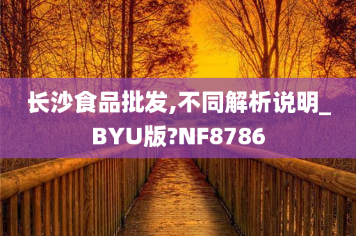 长沙食品批发,不同解析说明_BYU版?NF8786