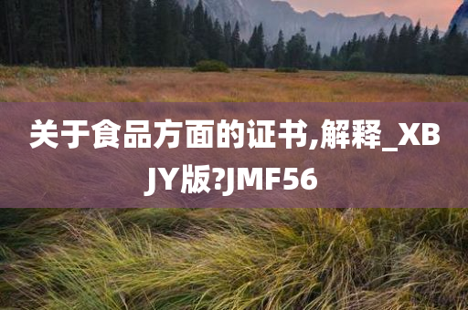 关于食品方面的证书,解释_XBJY版?JMF56