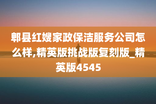 郫县红嫂家政保洁服务公司怎么样,精英版挑战版复刻版_精英版4545