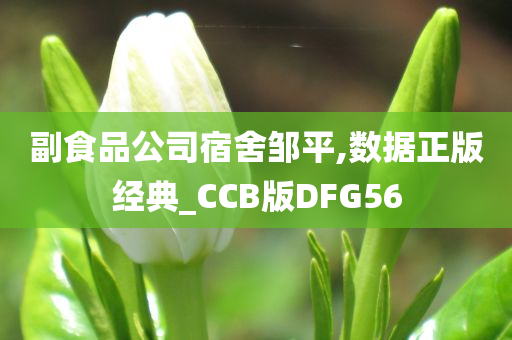 副食品公司宿舍邹平,数据正版经典_CCB版DFG56