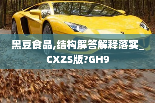 黑豆食品,结构解答解释落实_CXZS版?GH9