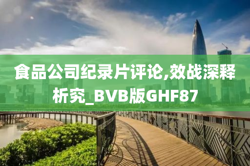 食品公司纪录片评论,效战深释析究_BVB版GHF87