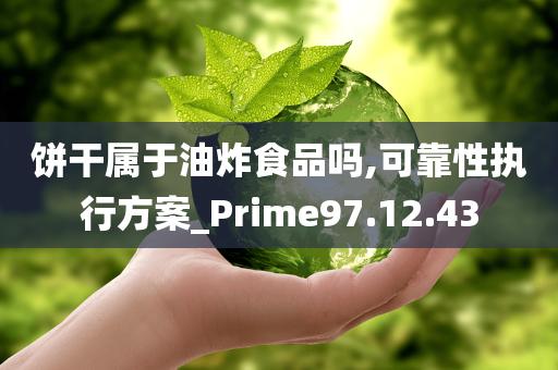 饼干属于油炸食品吗,可靠性执行方案_Prime97.12.43