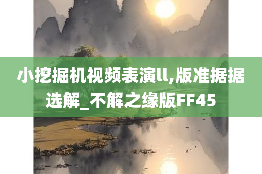 小挖掘机视频表演ll,版准据据选解_不解之缘版FF45