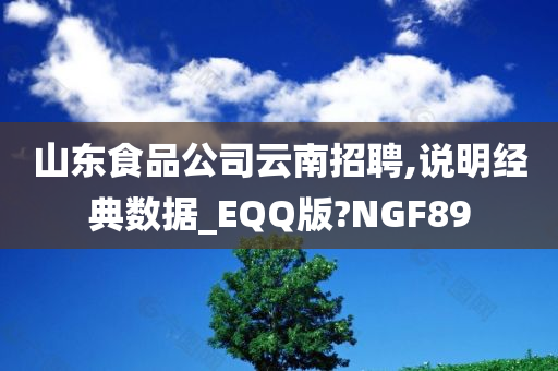 山东食品公司云南招聘,说明经典数据_EQQ版?NGF89