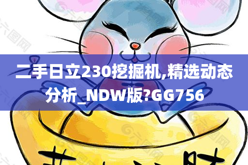 二手日立230挖掘机,精选动态分析_NDW版?GG756