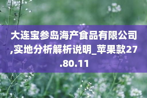 大连宝参岛海产食品有限公司,实地分析解析说明_苹果款27.80.11