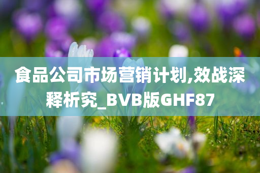 食品公司市场营销计划,效战深释析究_BVB版GHF87