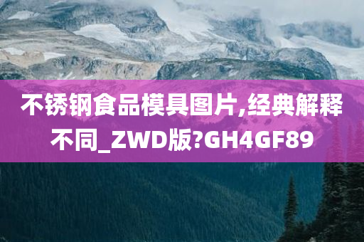 不锈钢食品模具图片,经典解释不同_ZWD版?GH4GF89