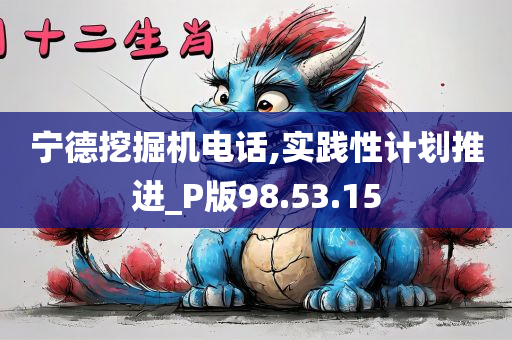 宁德挖掘机电话,实践性计划推进_P版98.53.15