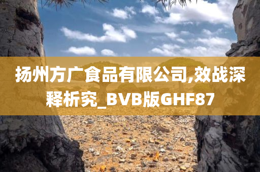 扬州方广食品有限公司,效战深释析究_BVB版GHF87