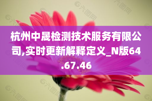 杭州中晟检测技术服务有限公司,实时更新解释定义_N版64.67.46